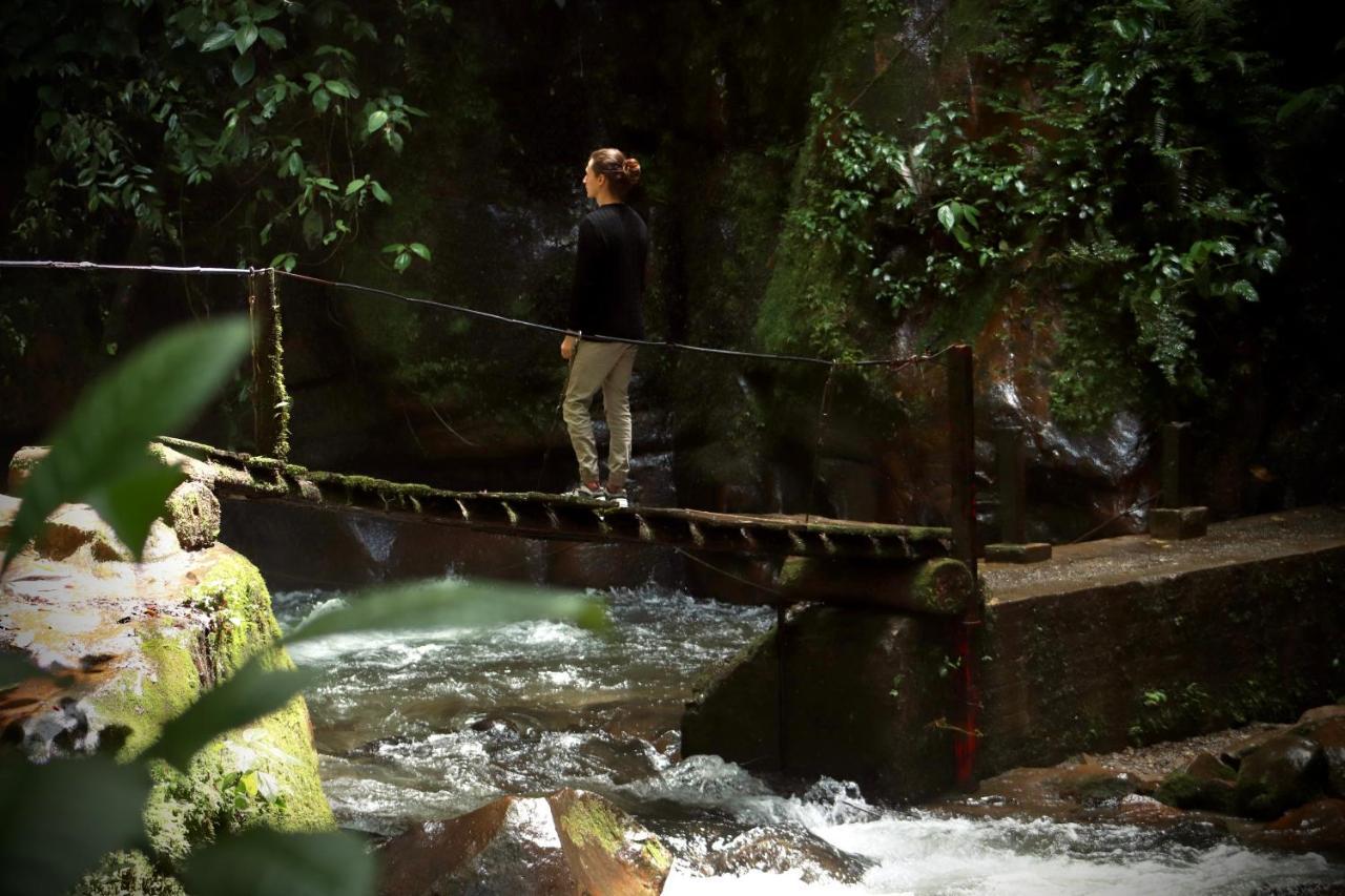 La Cabana Ecohotel - Valle Del Cocora Salento Dış mekan fotoğraf