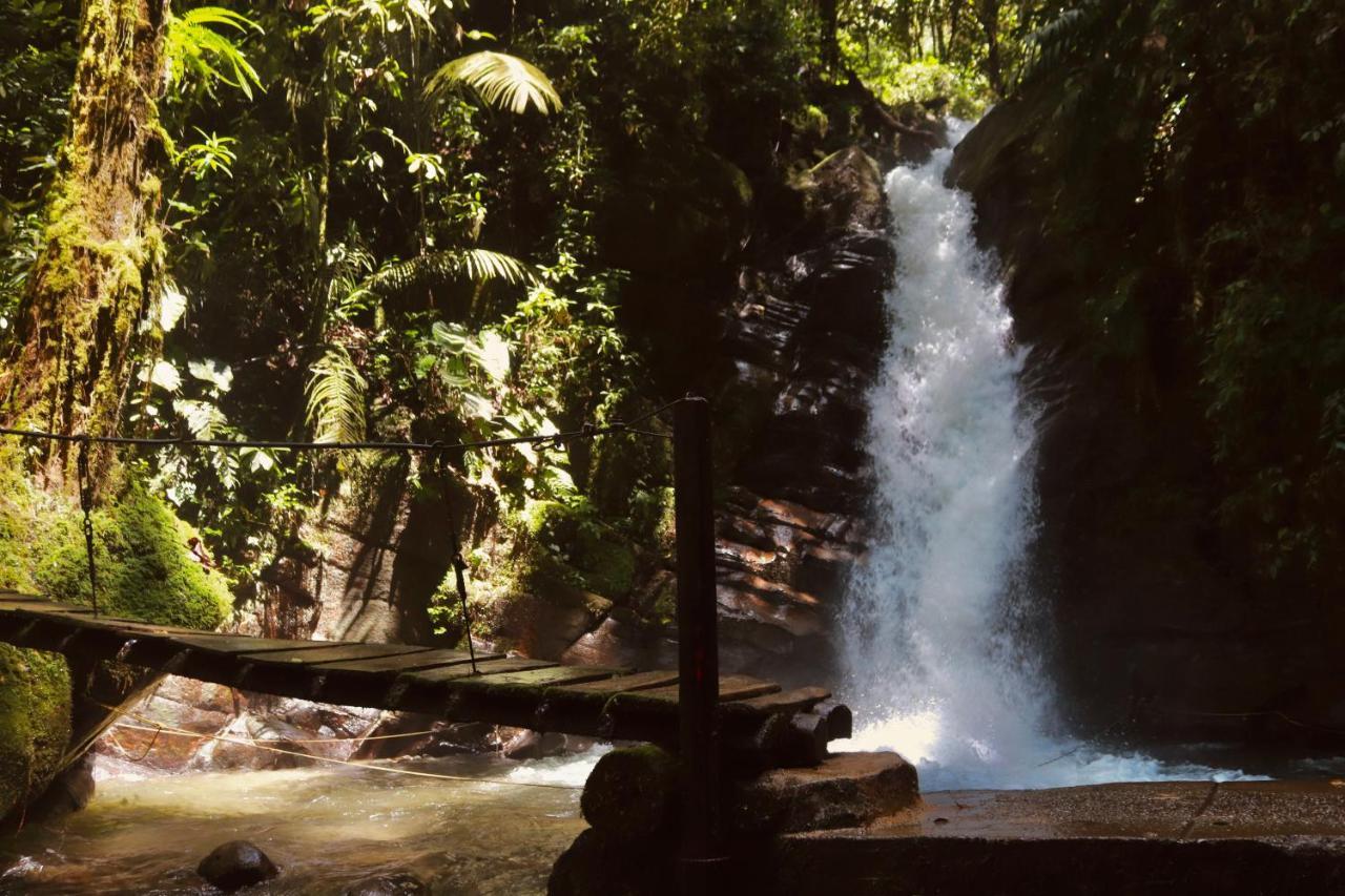 La Cabana Ecohotel - Valle Del Cocora Salento Dış mekan fotoğraf
