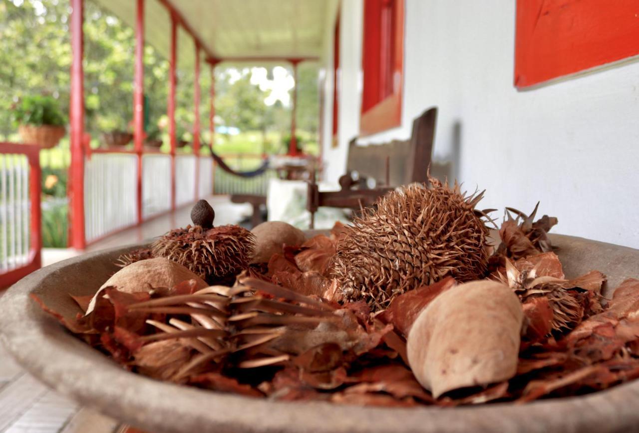 La Cabana Ecohotel - Valle Del Cocora Salento Dış mekan fotoğraf