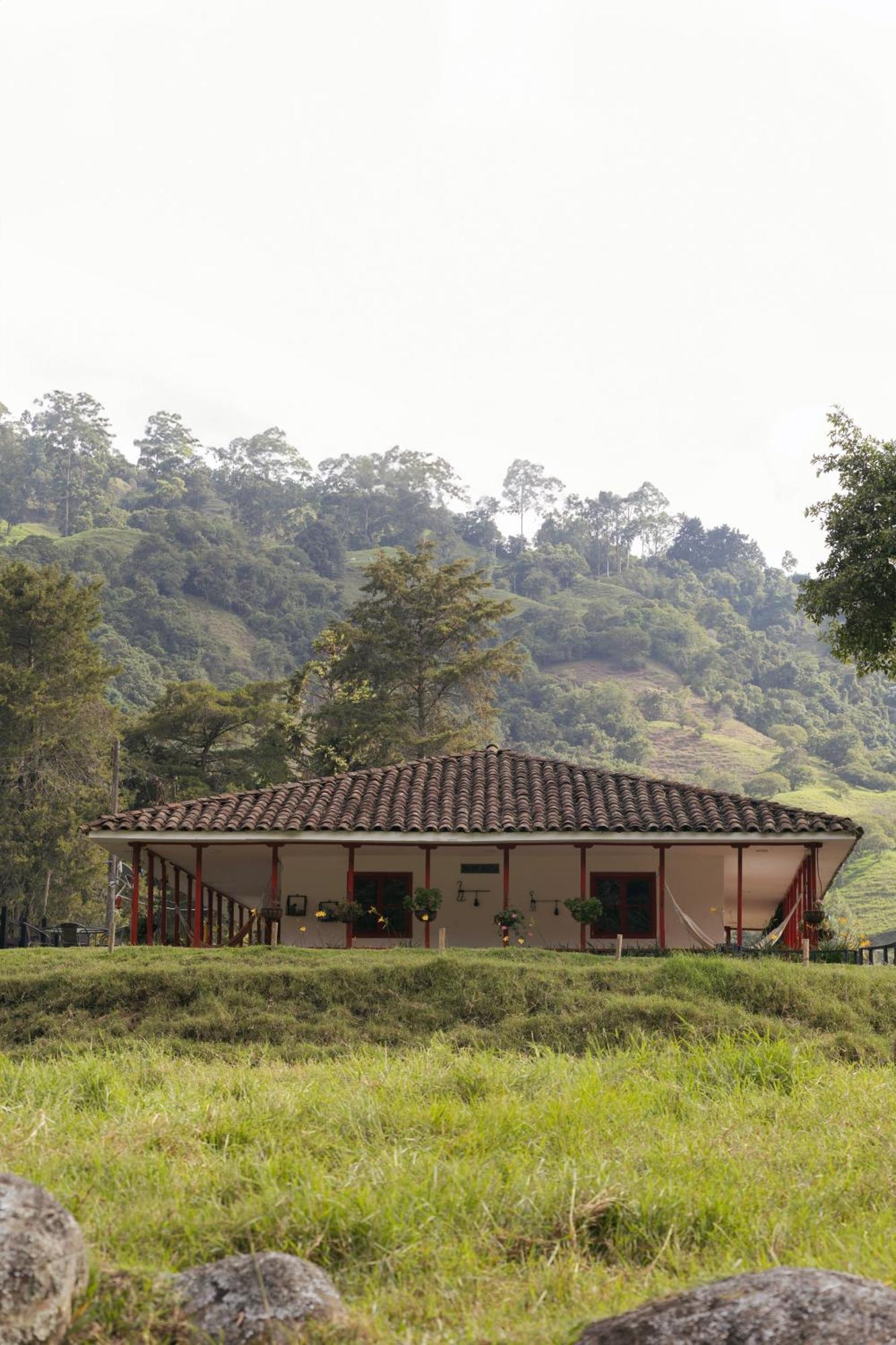 La Cabana Ecohotel - Valle Del Cocora Salento Dış mekan fotoğraf