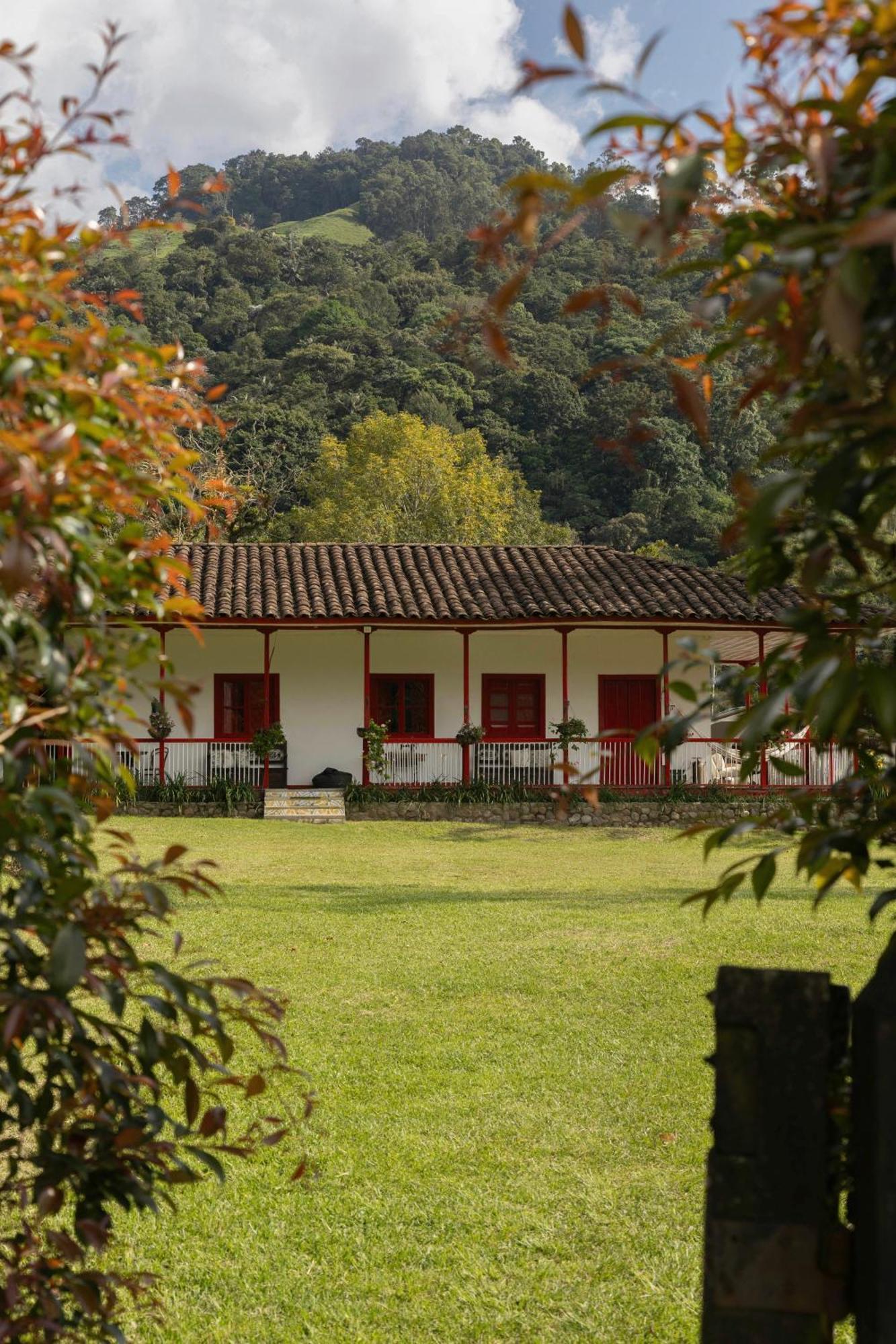 La Cabana Ecohotel - Valle Del Cocora Salento Dış mekan fotoğraf