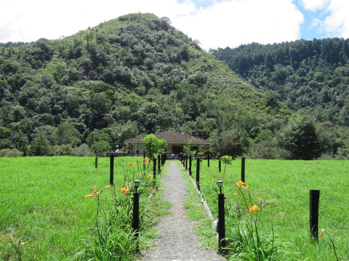 La Cabana Ecohotel - Valle Del Cocora Salento Dış mekan fotoğraf